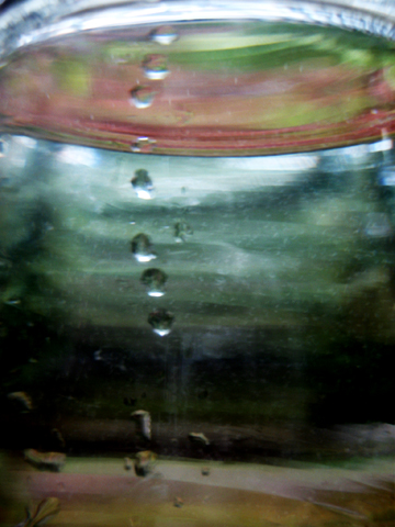 Water Distortions: photographer Karen E. Bean, Maple Falls, Washington