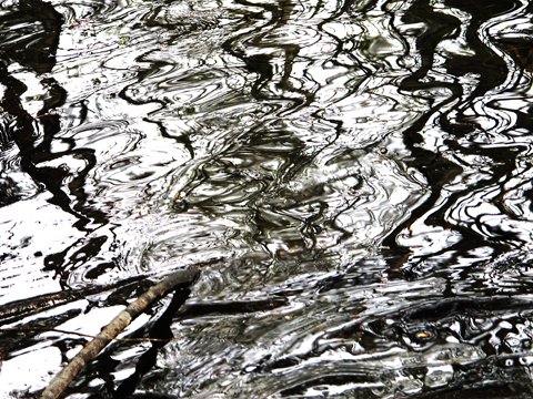 Ripple Stick : April 14 water image : From Water Images 52 Weeks : photographer Karen E. Bean, Maple Falls, Washington. Walking-Wild.com